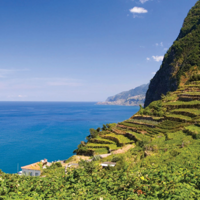 Island Hopping: Dream Destinations For Wine Tours
