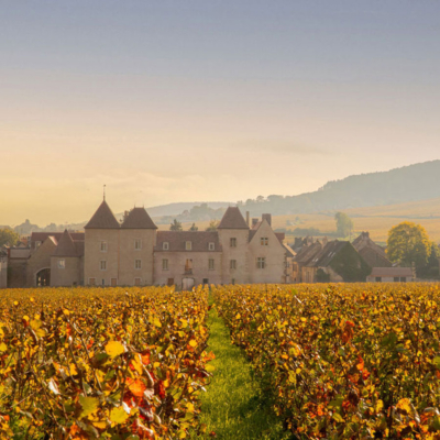 The Newly Opened Château La Commaraine Is A Must-Visit For Wine Tourists