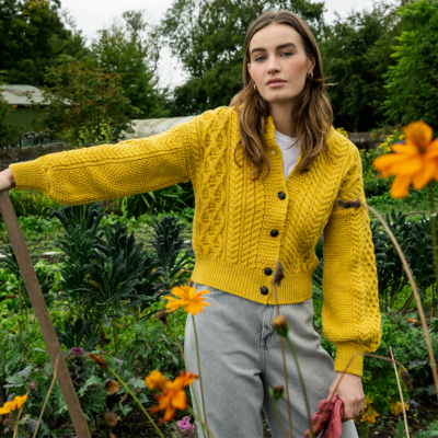 12+ Glossy Things To Do Around Ireland This Summer