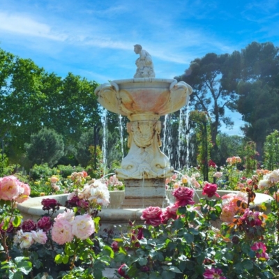 An Insider’s Guide To Madrid