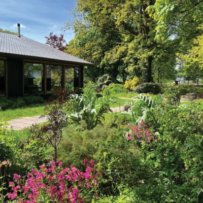 5 Kitchen Garden To Plate Restaurants Around Ireland